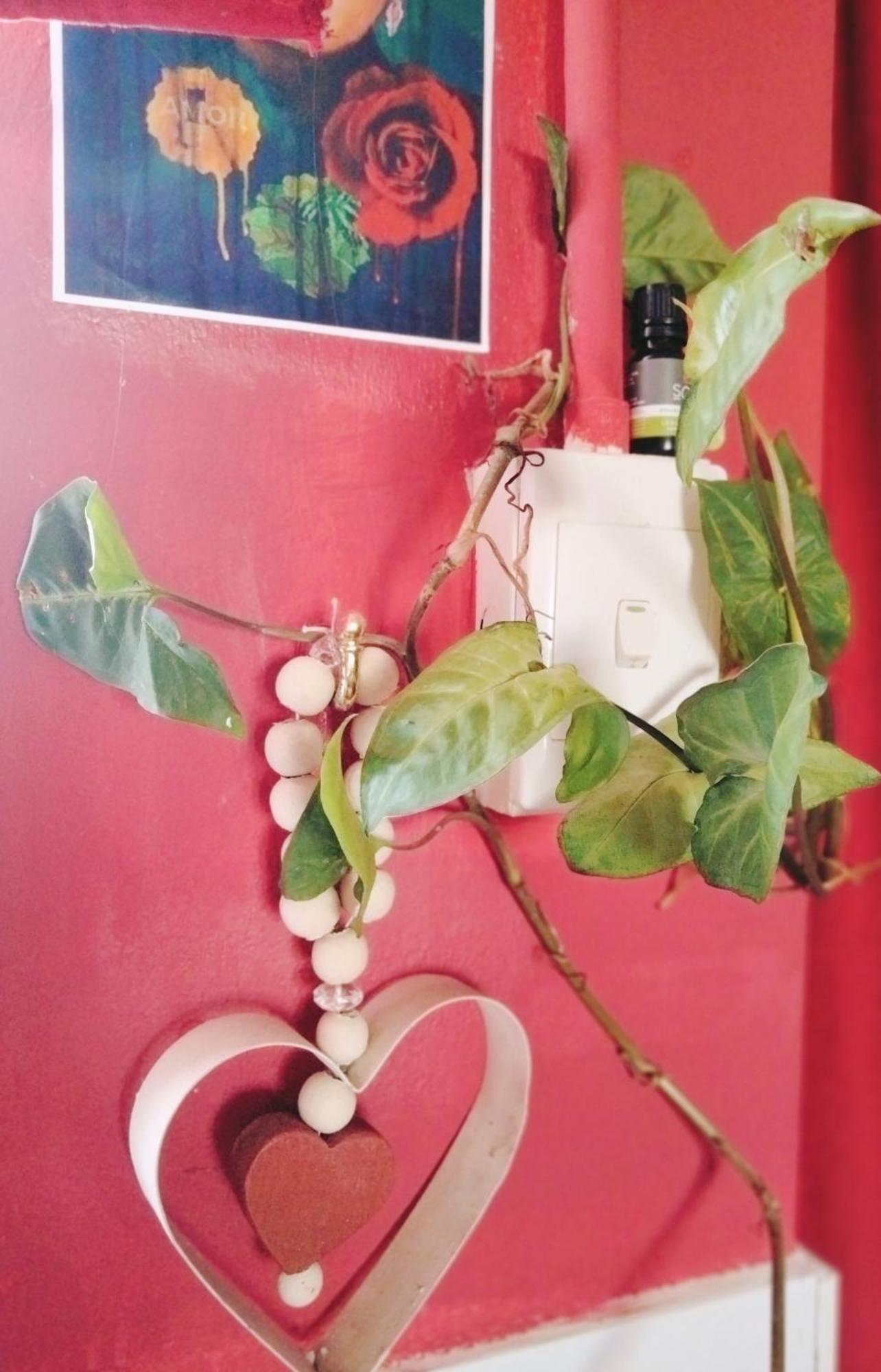 Addo'S Secret Backdoor Apartamento Port Elizabeth Exterior foto
